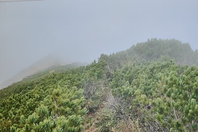 鳥海山、七高山から七五三掛へ向かう登山道