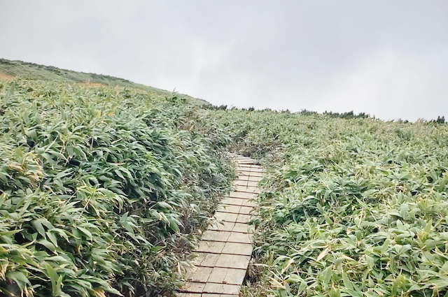 鳥海山、長坂道から河原宿へ向かう