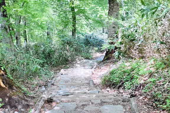 鳩待峠から山ノ鼻へ向かう道