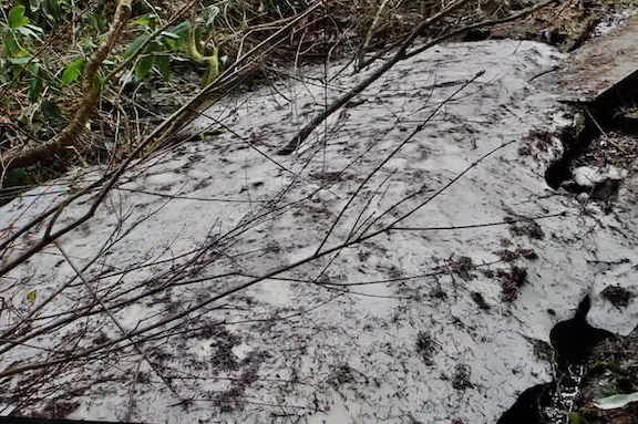 尾瀬、見晴新道分岐から沼尻に向かう木道にある残雪