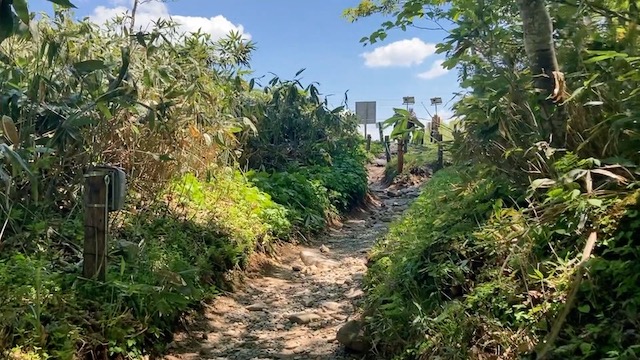 尾瀬・鳩待峠