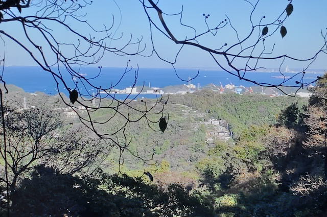 三浦アルプス、尾根道