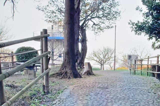 三浦アルプス、田浦梅林