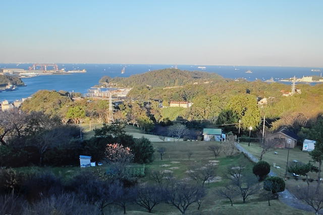三浦アルプス、田浦梅林展望台からの景色
