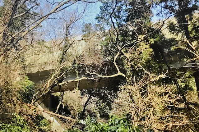 三浦アルプス、森戸林道の国道との交差するところ