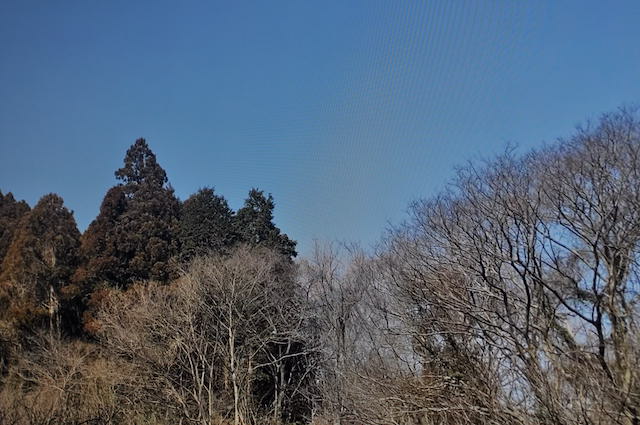 三浦アルプス、森戸林道の青空