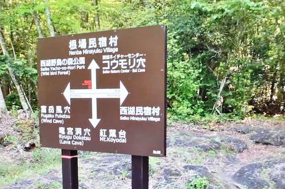 樹海遊歩道の道標