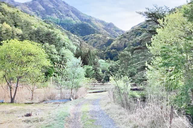 西湖キャンプ場から鬼ケ岳への登山道へ向かう林道
