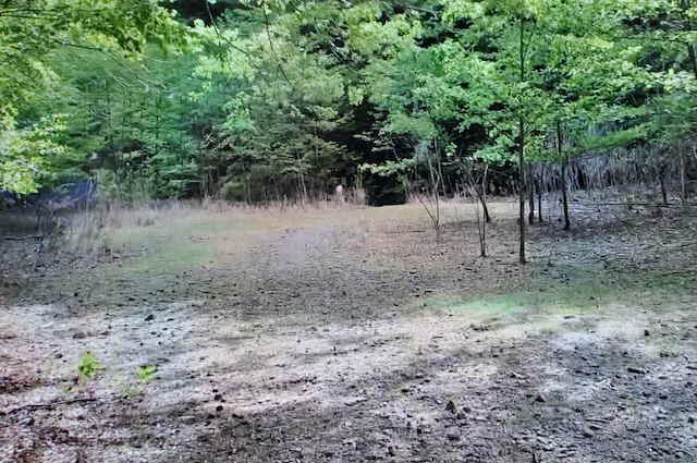 東入川堰堤広場から鬼ケ岳登山道入口