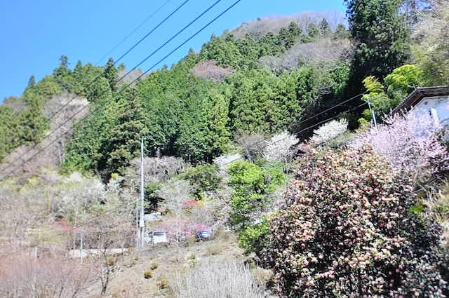 日向大谷口バス停の景色