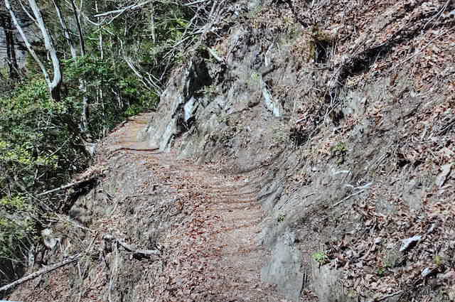 日向大谷口から両神山への登山道の様子