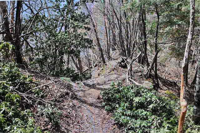 両神山は梵天尾根の登山道