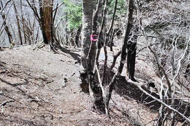両神山は梵天尾根の登山道