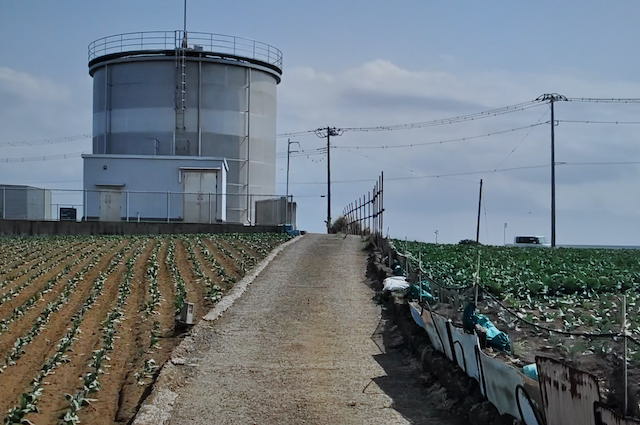 三浦半島、金田海岸から松輪バス停をめざす道中の風景