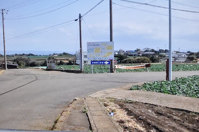 三浦半島、岩礁の道起点から間口港へ向かう道中