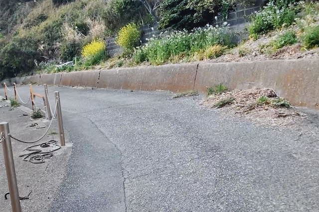 三浦半島・岩礁の道終点から宮川町バス停への道