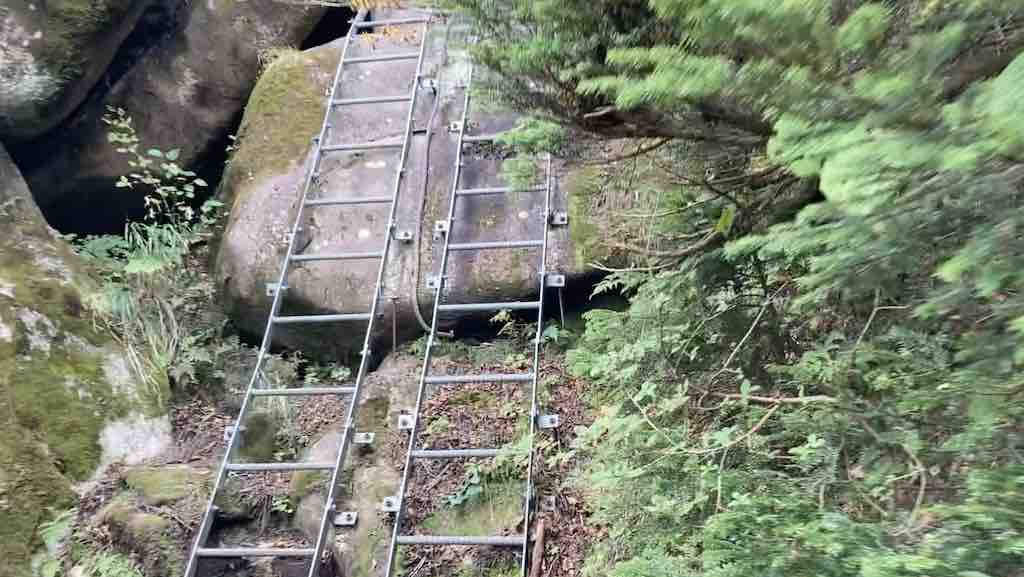 薬師岳登山道の梯子