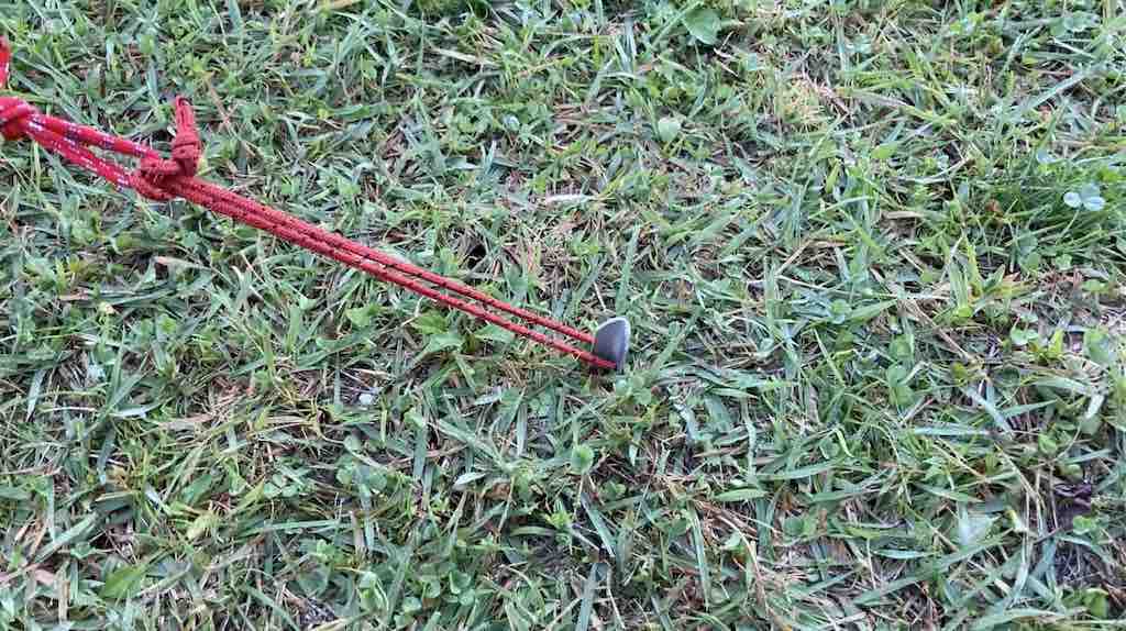 タイマグラキャンプ場の芝質