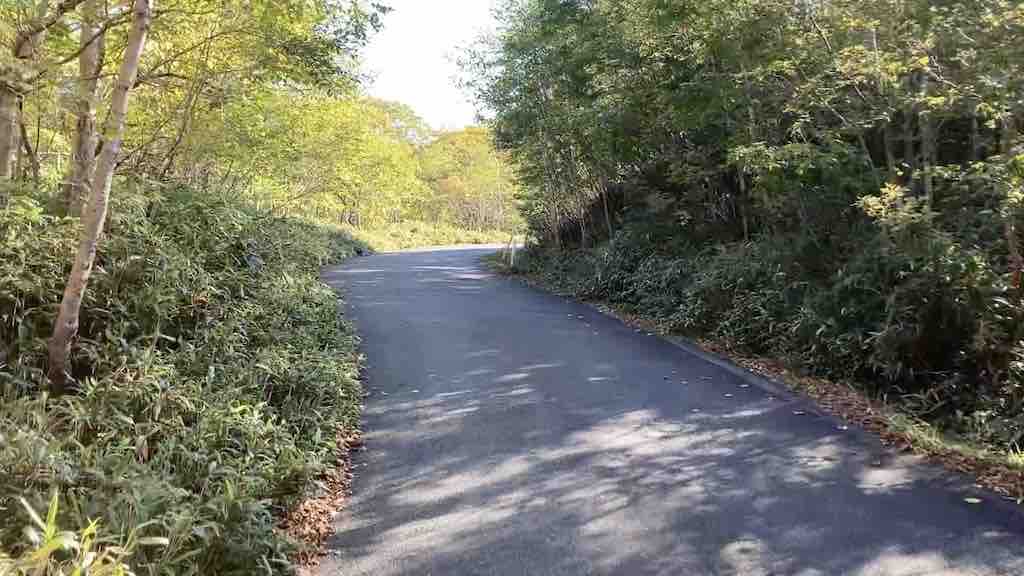 小田越への舗装道路