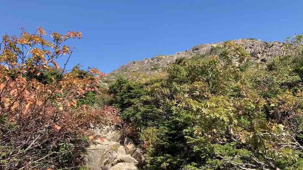 早池峰の一合目付近