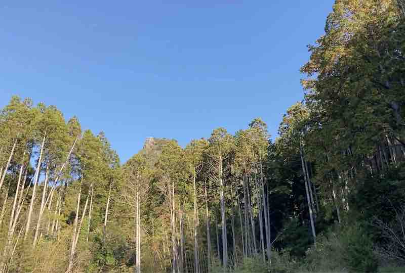 登山口から見上げる伊予ヶ岳
