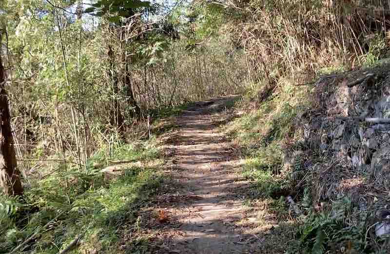伊予ヶ岳の登山道