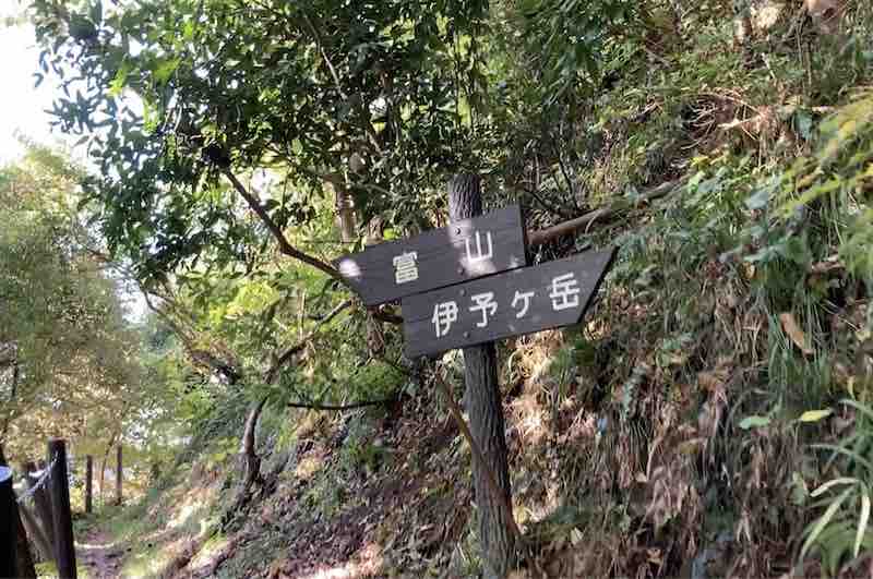 伊予ヶ岳の登山道
