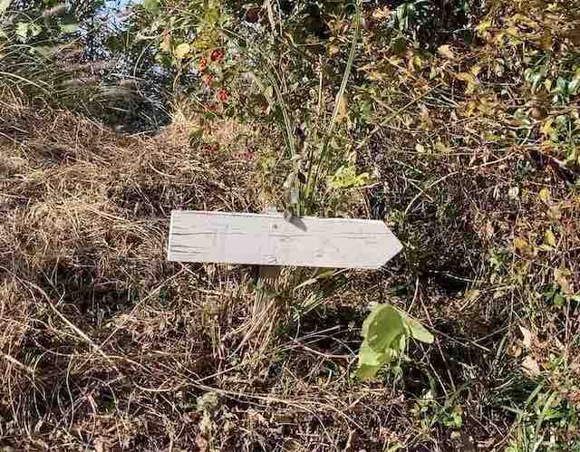 伊予ヶ岳山頂にある、北方への道を示す道標