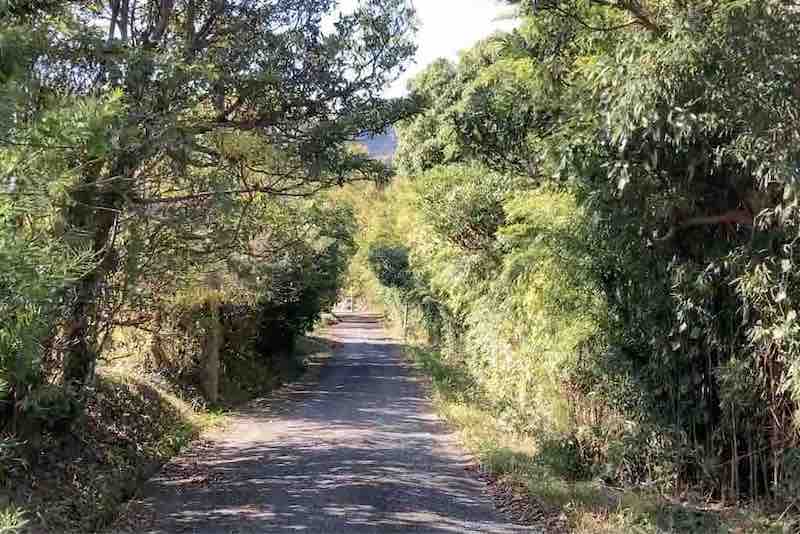 伊予ヶ岳から富山方面に向かう道
