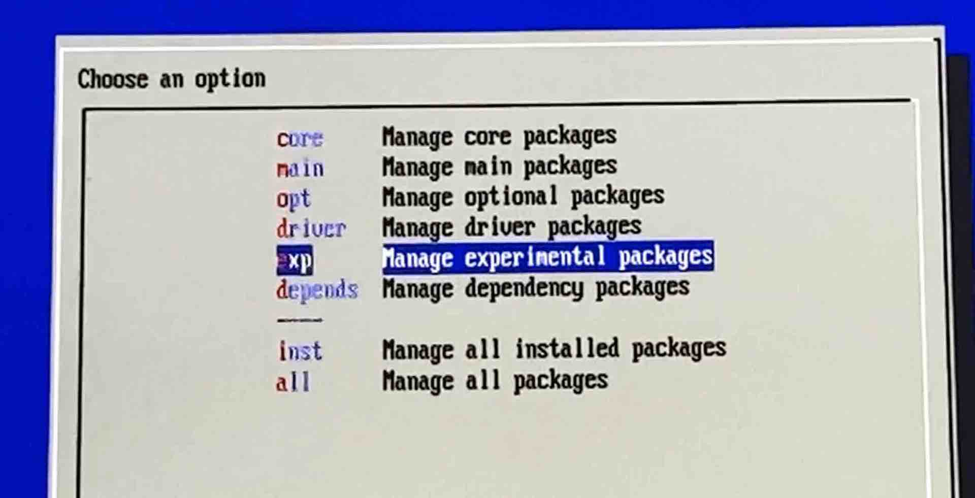 RetroPi-Setup Scriptの画面
